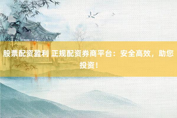 股票配资盈利 正规配资券商平台:安全高效,助您投资!