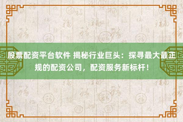 股票配资平台软件 揭秘行业巨头:探寻最大最正规的配资公司,配资服务新标杆!