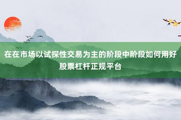 在在市场以试探性交易为主的阶段中阶段如何用好股票杠杆正规平台