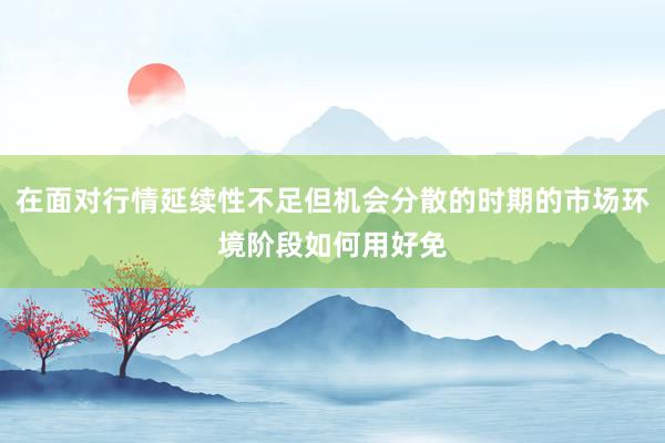 在面对行情延续性不足但机会分散的时期的市场环境阶段如何用好免