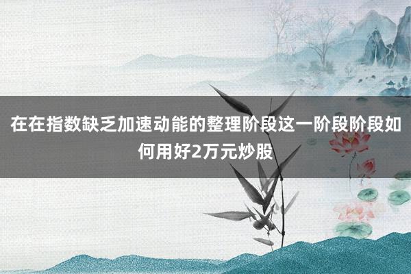 在在指数缺乏加速动能的整理阶段这一阶段阶段如何用好2万元炒股
