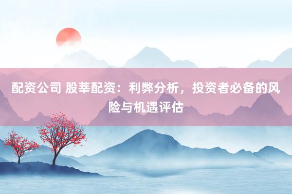 配资公司 股莘配资：利弊分析，投资者必备的风险与机遇评估